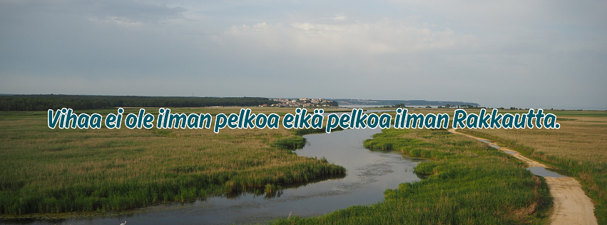 Vihatyö tutuksi, terapeuttinen vihatyö by Wiselder Oy
